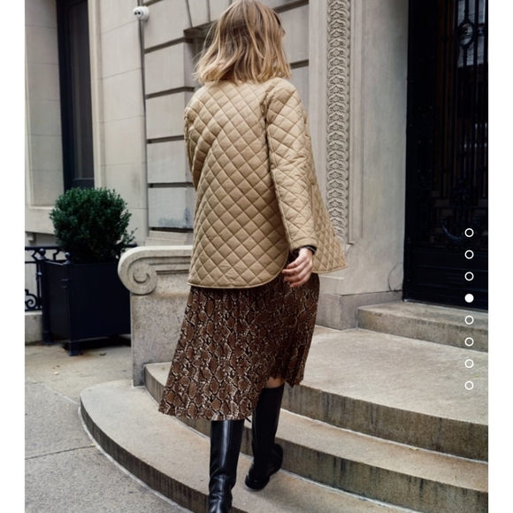 BNWT! Zara Faux Leather Skirt - Picture 3 of 10